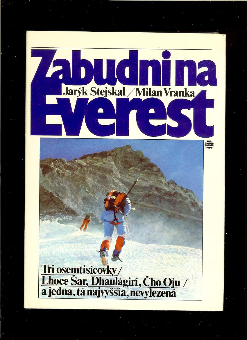 Jarýk Stejskal, Milan Vranka: Zabudni na Everest