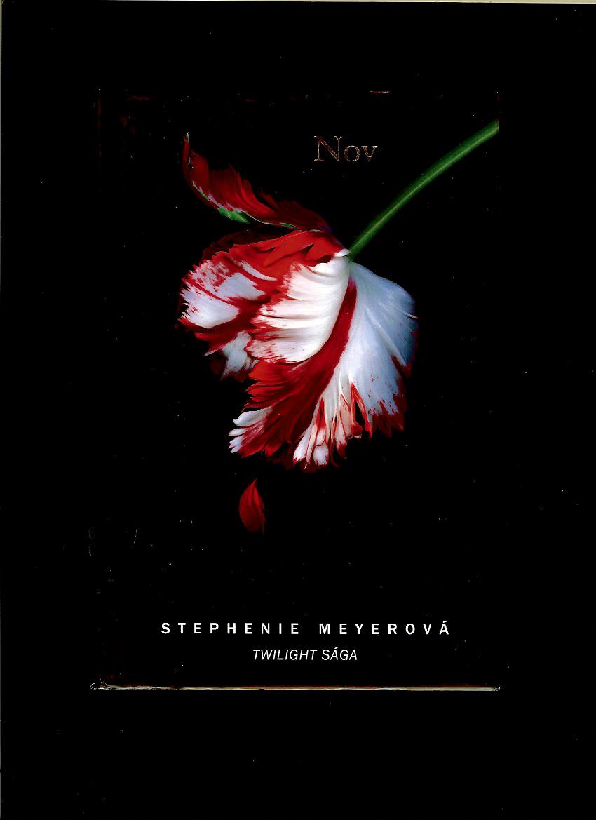 Stephenie Meyerová: Twilight sága - Nov