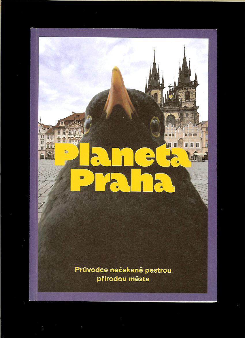 Jan Albert Šturma a kol.: Planeta Praha