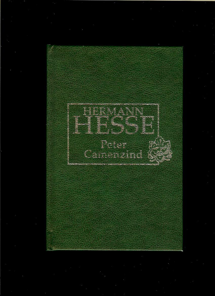 Hermann Hesse: Peter Camenzind