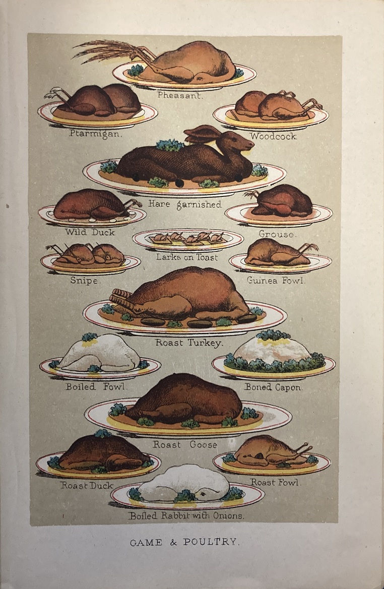 Mrs Beeton's Every Day Cookery and Housekeeping Book /1893/
