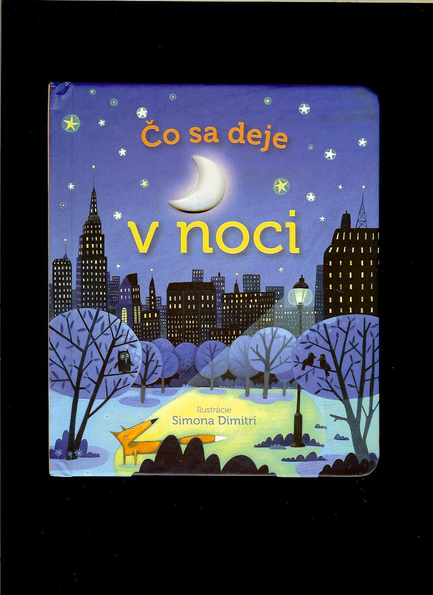 Anna Milbourne: Čo sa deje v noci