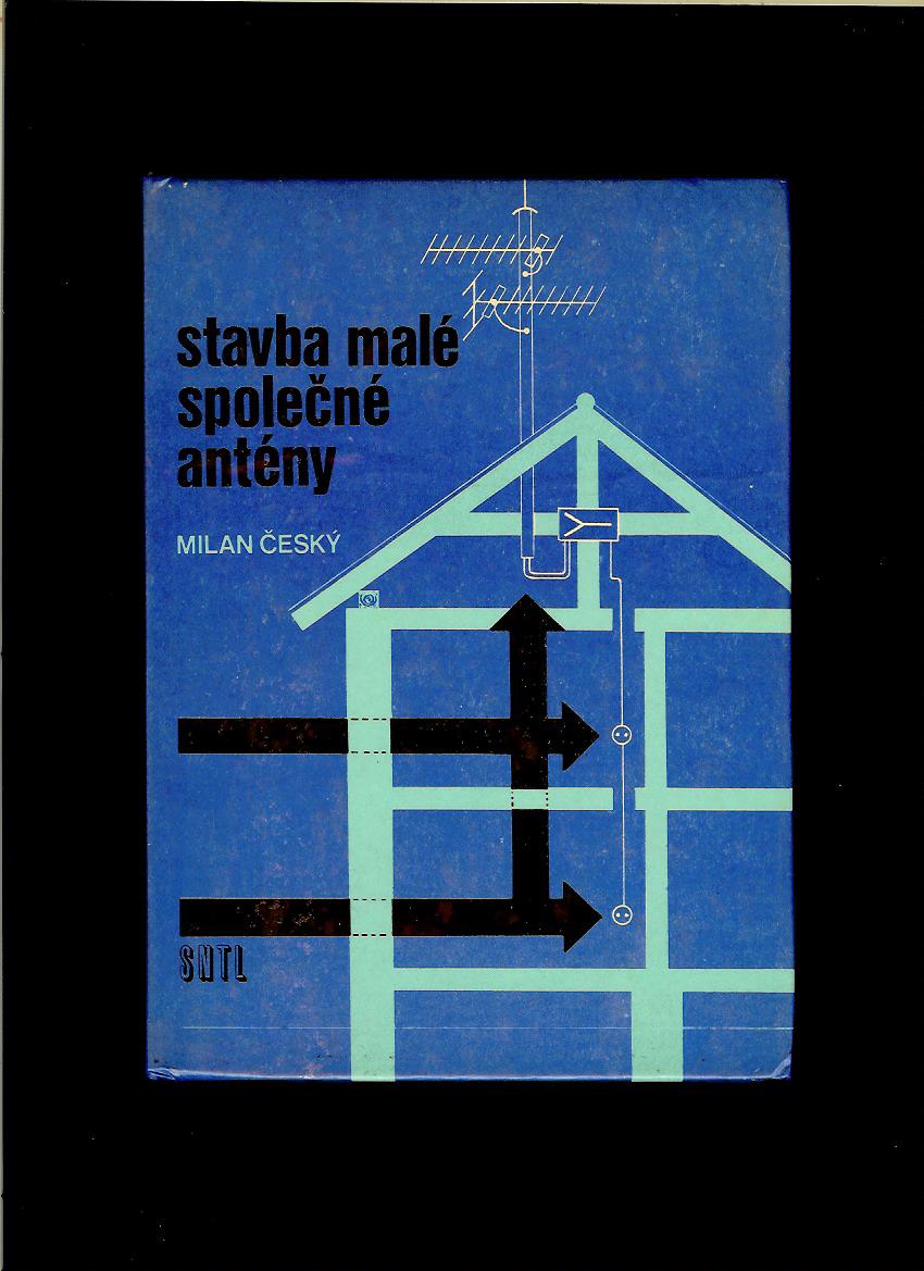 Milan Český: Stavba malé společné antény