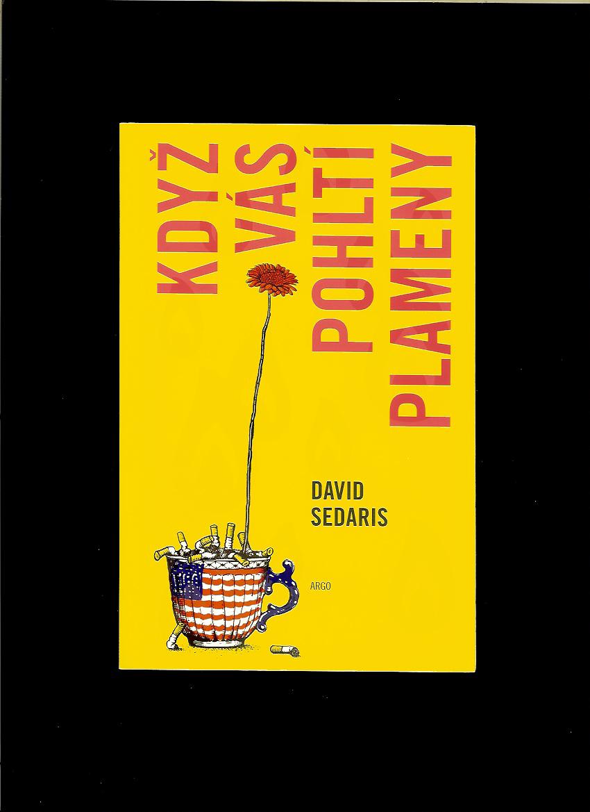 David Sedaris: Když vás pohltí plameny