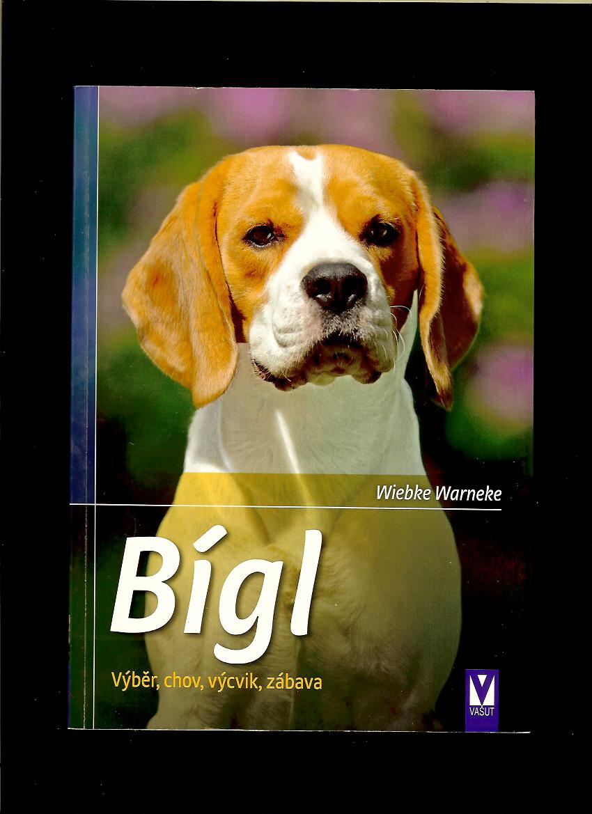 Wiebke Warneke: Bígl - Výběr, chov, výcvik, zábava