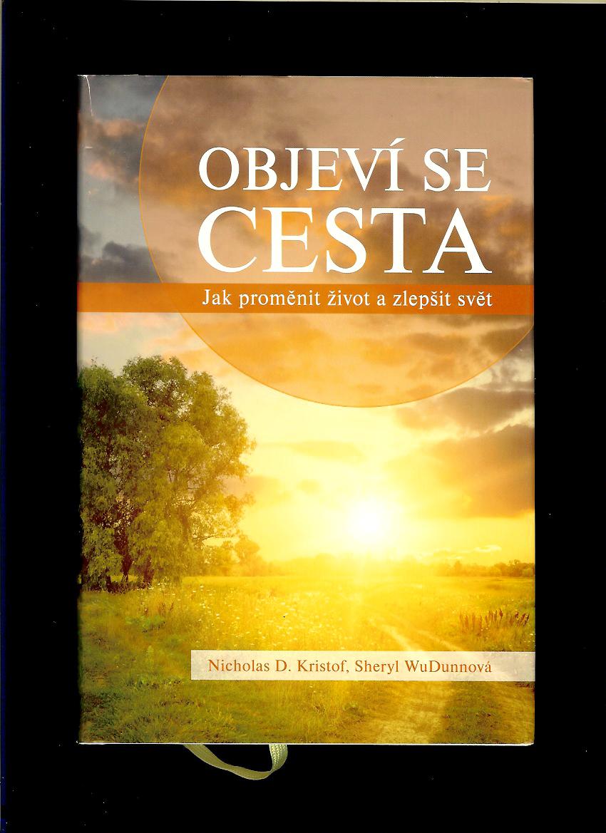 Nicholas D. Kristof, Sheryl WuDunnová: Objeví se cesta