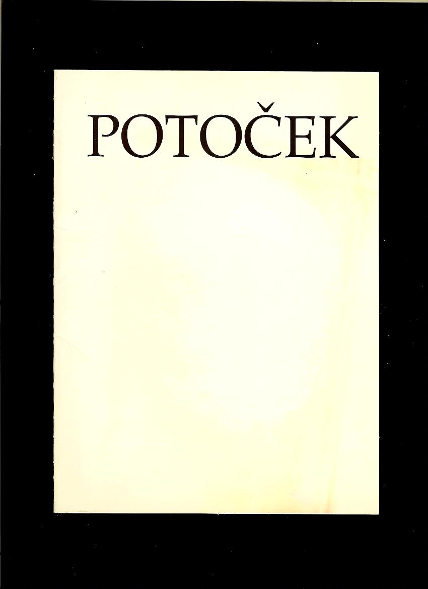 Marián Pauer: Pavol Potoček. Uvážená vyváženosť