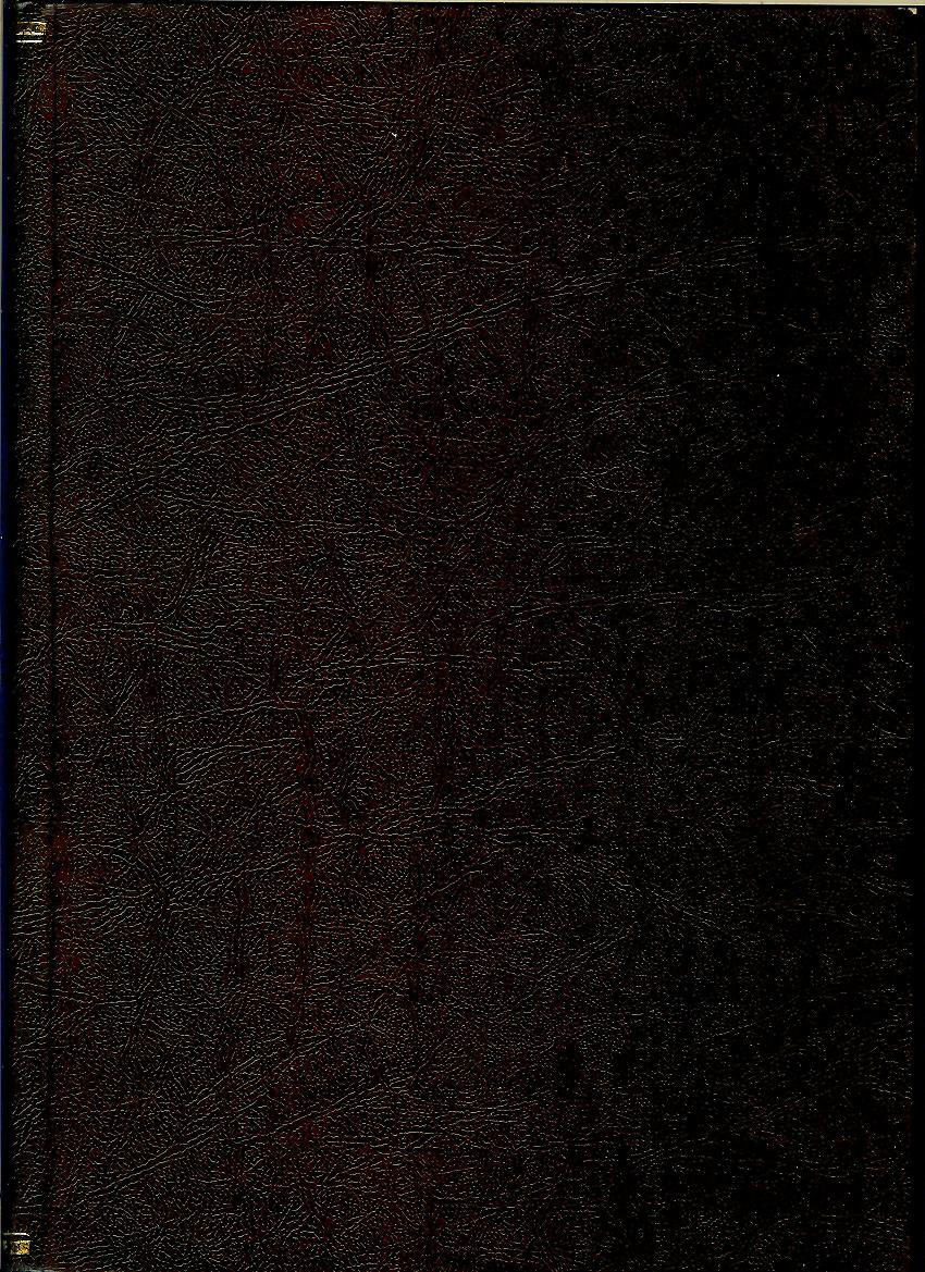 Střelecká revue 1981 /12 zviazaných čísel/