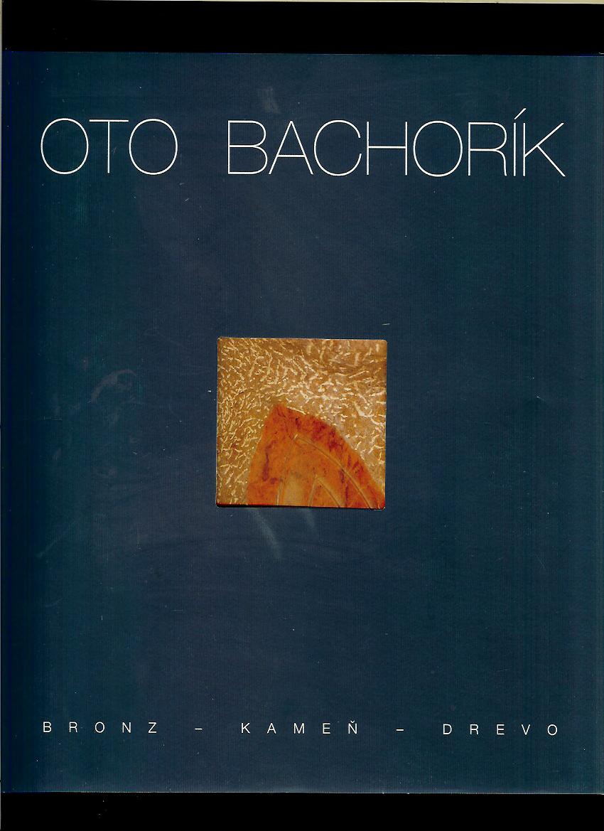 Dušan Dušek a kol.: Oto Bachorík. Bronz, kameň, drevo
