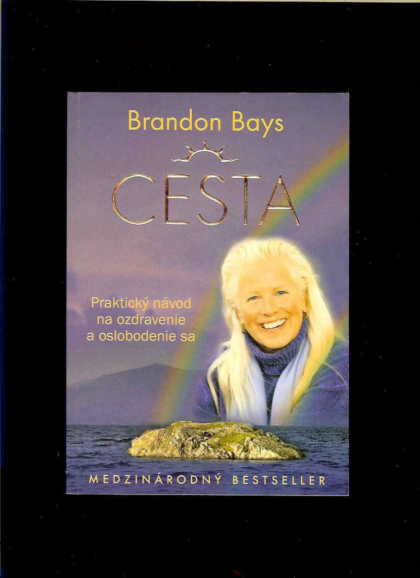 Brandon Bays: Cesta
