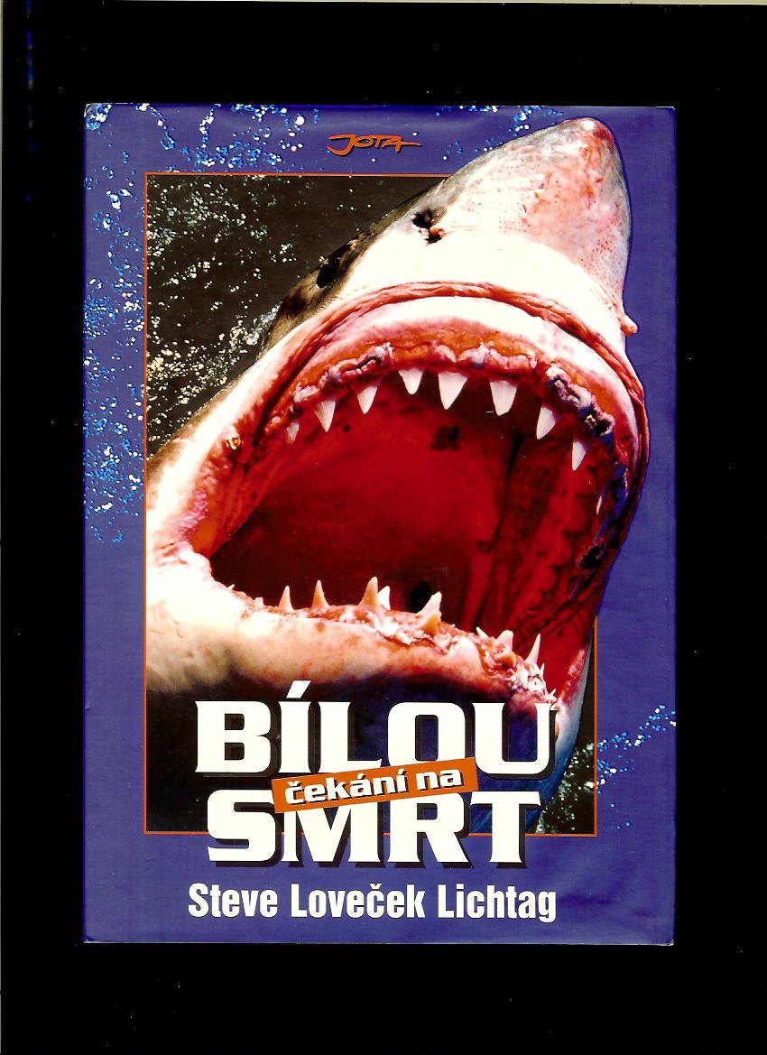 Steve Loveček Lichtag: Čekání na bílou smrt