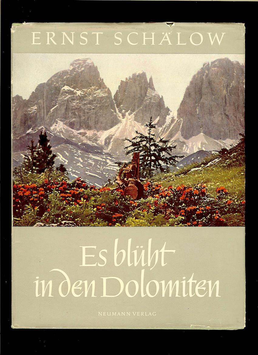 Ernst Schälow: Es blüht in den Dolomiten 