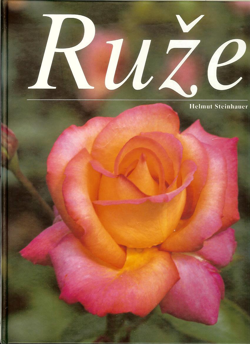 Helmut Steinhauer: Ruže