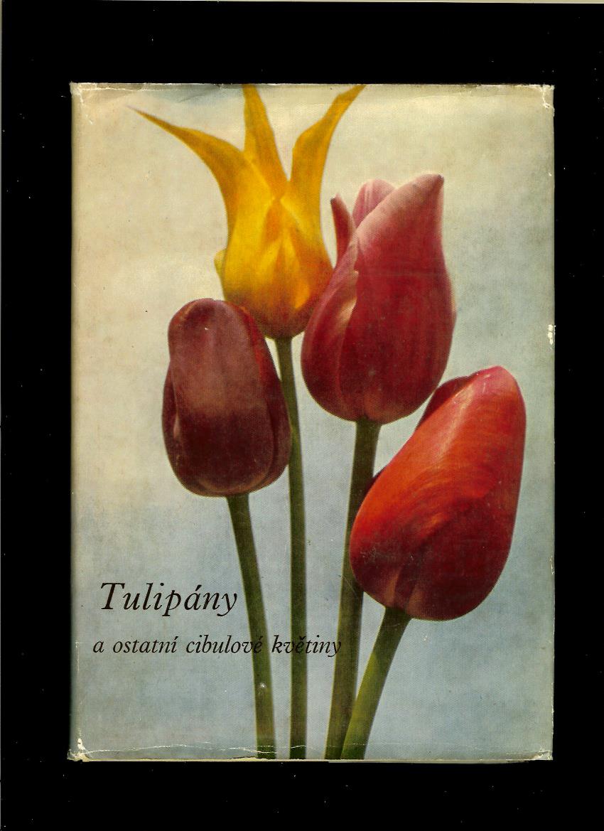 Vlastimil Vaněk a kol.: Tulipány a ostatní cubulové květiny