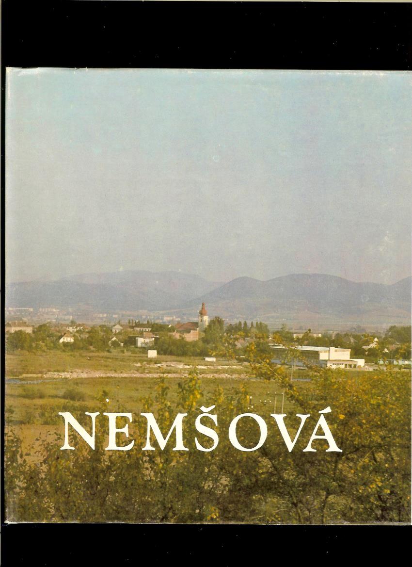 Marián Pauer: Nemšová
