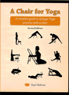 Eyal Shifroni: A Chair for Yoga