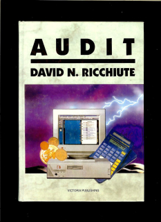 David N. Ricchiute: Audit