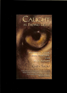 Gary Thorp: Caught in Fading Light