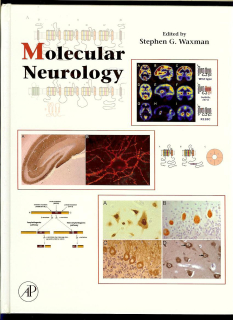 Stephen G. Waxman: Molecular Neurology